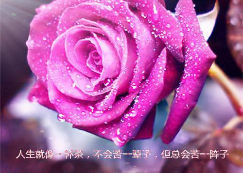 大专毕业生求职信范文合集六篇
