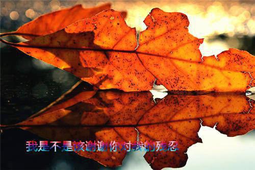 公司年会邀请函doc