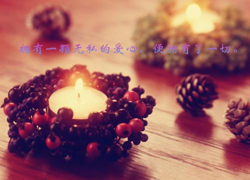 最新英语专业求职信范文