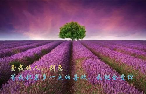 关于业绩的励志小故事