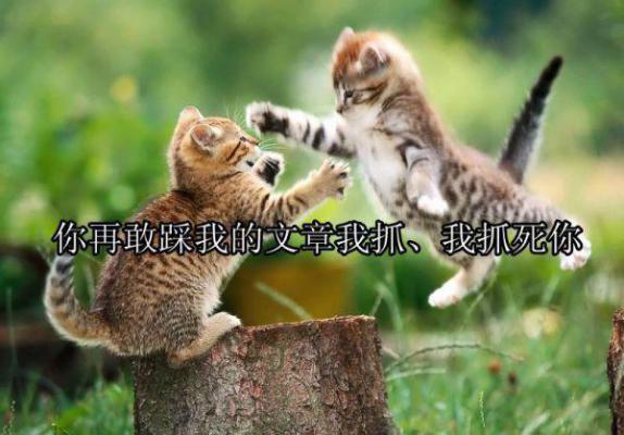 中专毕业生自荐信锦集4篇