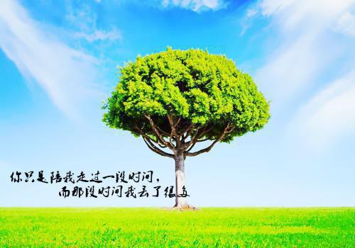 关于学校卫生自查报告