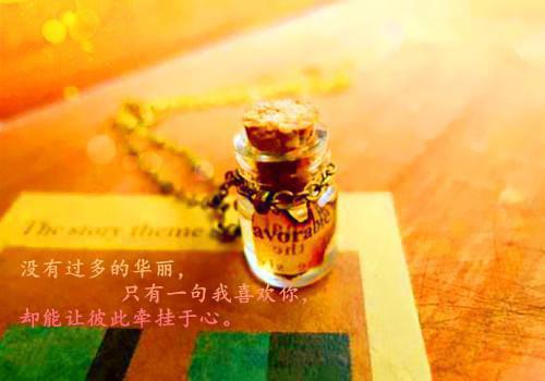自荐信的写法及格式
