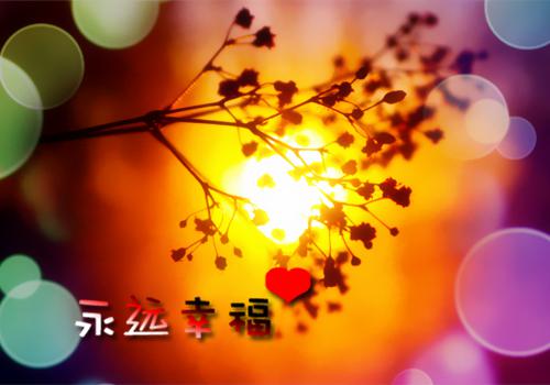 关于友情经典名言