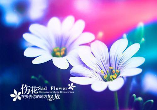 竞聘演讲稿（9）
