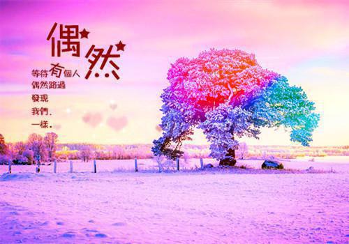 2023年寒假大学生参加公益活动社会实践报告