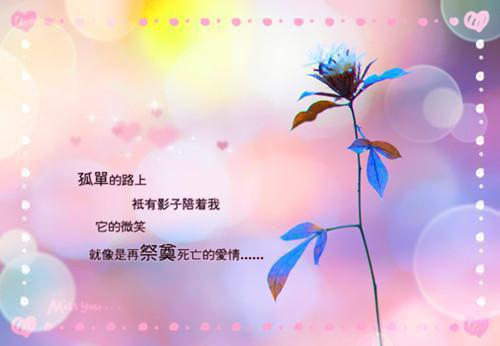护士实践报告范文3000字