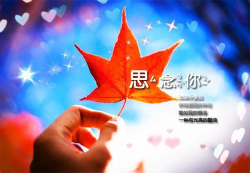 致医生表扬信范文