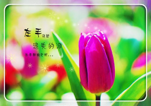 苦涩爱情伤感戳心的qq个性签名 心口止不住的隐隐作痛