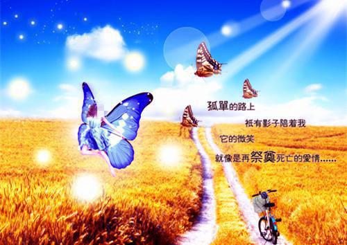 有关于爱情感悟的经典语录