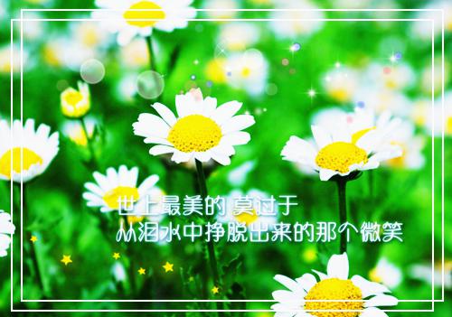 销售部门年终工作报告
