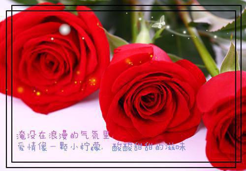 商业信息咨询中心感谢信