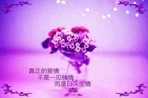 协警辞职报告范文