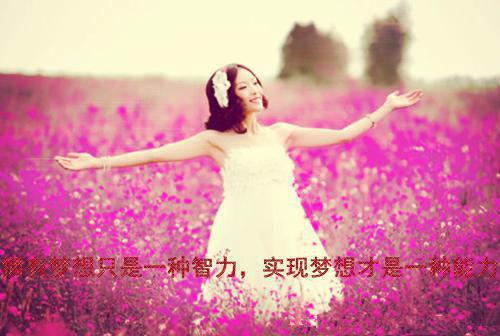 2023年会计社会实践报告