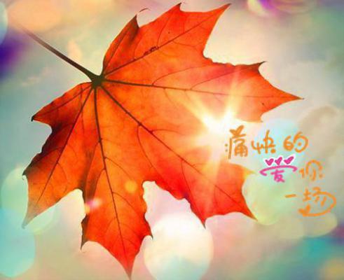 工程监理求职信范文锦集八篇
