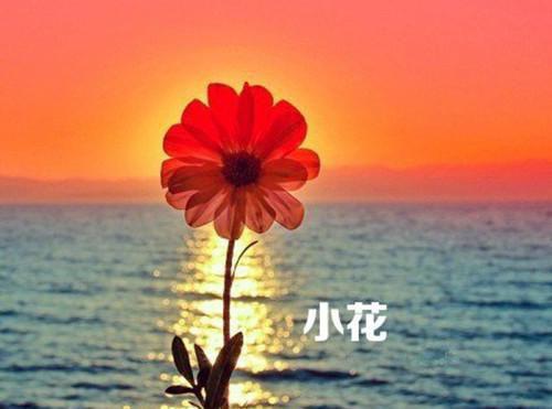 督导评估自查报告范文4篇