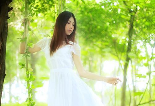 税务代理委托书【标准】